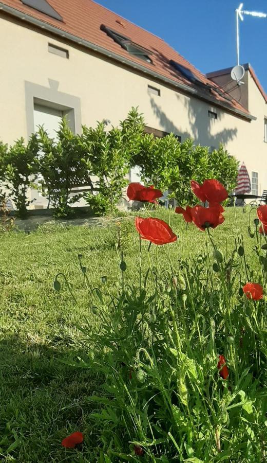 Le Feneau Maison D'Hotes Creuzier-le-Neuf 외부 사진